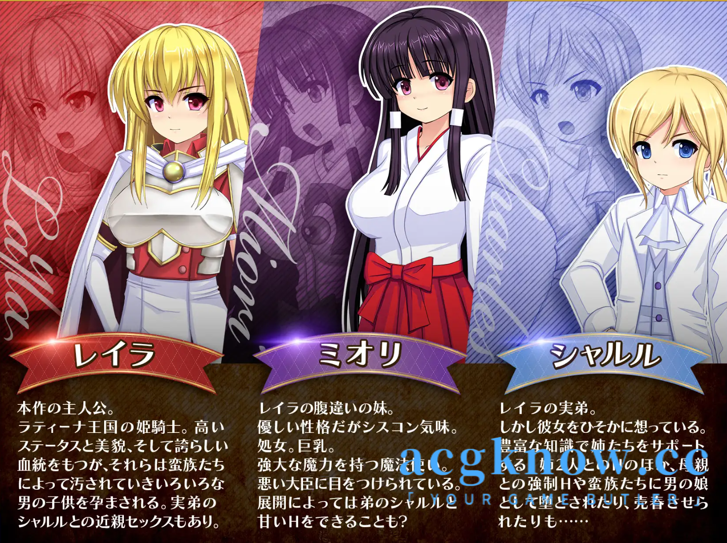 图片[4]-[PC+安卓+IOS][日系RPG/云汉化/更新]奴隷姫騎士レイラ Ver1.0.12【6.93G】-acgknow