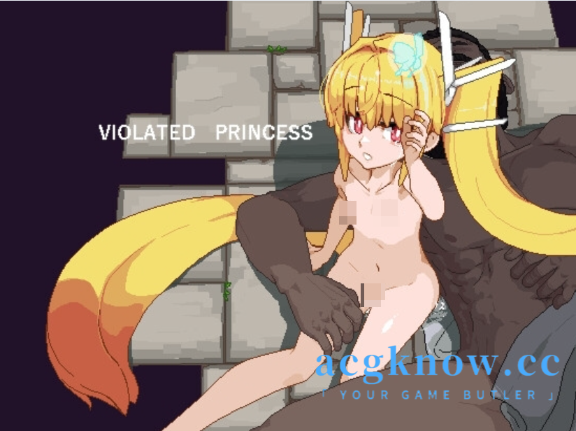 图片[1]-[PC+安卓Joi][爆款ARPG/汉化/像素]违反了公主 Violated Princess Ver1.051 官方AI汉化版+MOD【800M】-acgknow