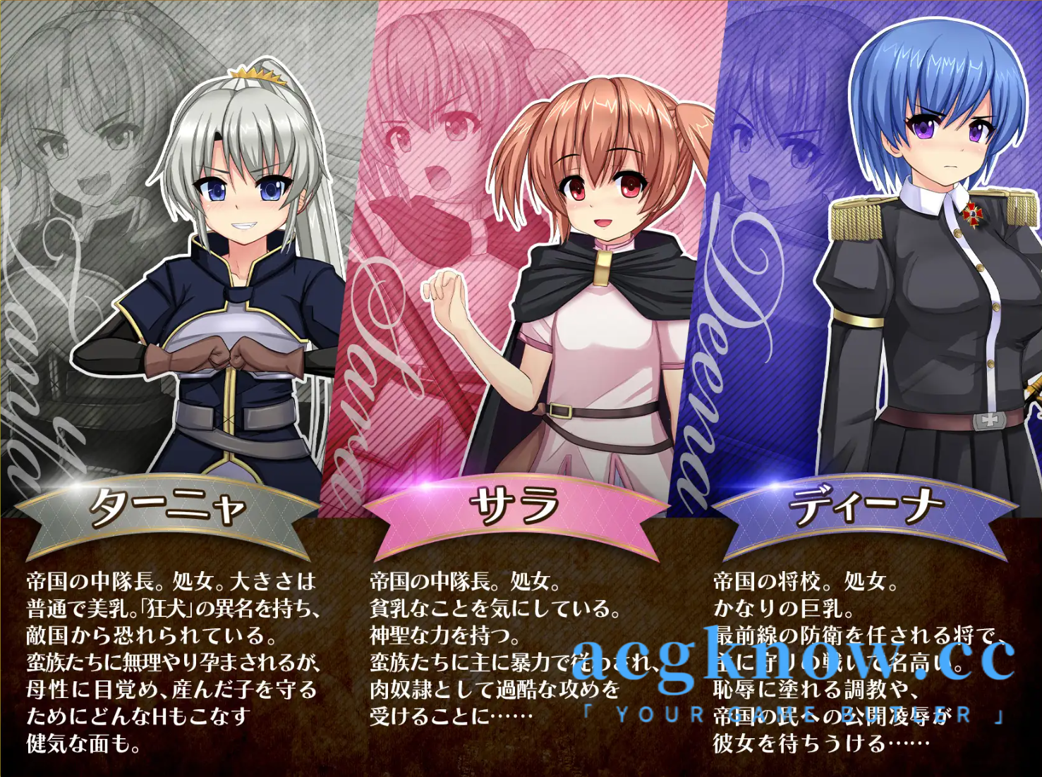 图片[2]-[PC+安卓+IOS][日系RPG/云汉化/更新]奴隷姫騎士レイラ Ver1.0.12【6.93G】-acgknow